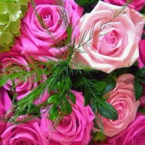 Meet your Posher, Milan